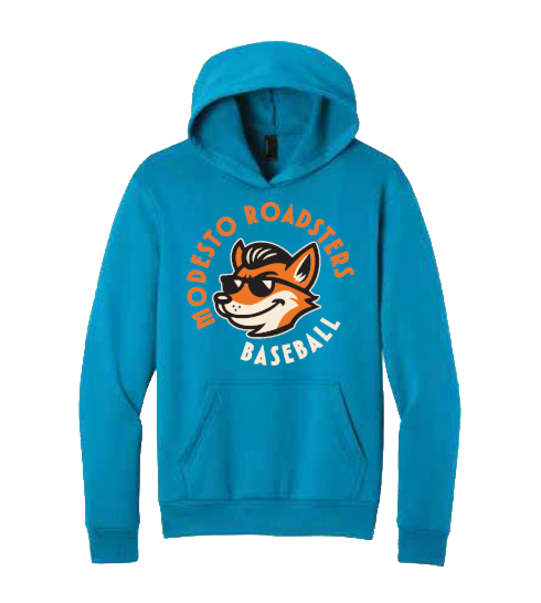 Cruiser Seal Youth Hoodie